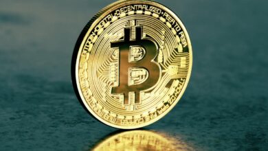 Nach dem Rückgang von Bitcoin brachen die Adressen im Gewinn von 82% auf 70% ein