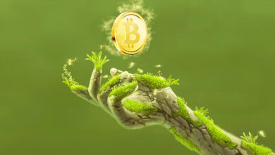 Neue Hochs oder neuer Crash? Krypto-Händler Aaron Arnold prognostiziert eine Wiederholung der Bitcoin-Geschichte