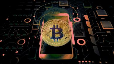Neue Umfrage zeigt, wie viele Amerikaner wollen, dass Bitcoin ein gesetzliches Zahlungsmittel wird