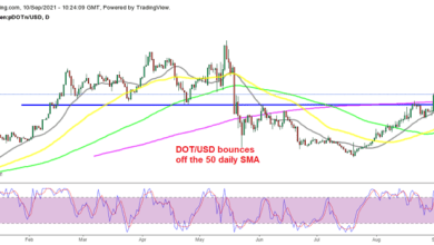 Polkadot (DOT) Coin Analysis – DOT/USD Zurück im Aufwärtstrend?