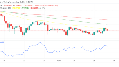Polygon (MATIC) trotz steigender Akzeptanz schwach: Wirkung des China-Verbots?
