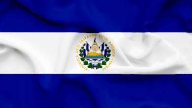 RegierungvonElSalvadorfördertBitcoin Transaktionen