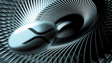 RippleEntleertWalletmit...XRP,daderVergleichmitdemMitbegründerkurzvordemAbschlusssteht