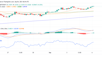 Ripple's XRP steigt, da die Community glaubt, dass die Klage gegen die SEC gehen wird