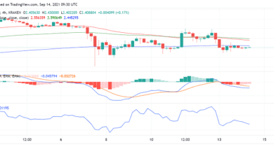 Schwäche in Cardano (ADA) hält an: Kann es Pivot Point zurücknehmen?