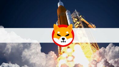 ShibaInu(SHIB)explodiertnacheinerCoinbase Notierungum%aufeinMonatshoch