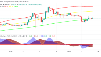 Solana (SOL) handelt abgehackt: Was passiert?