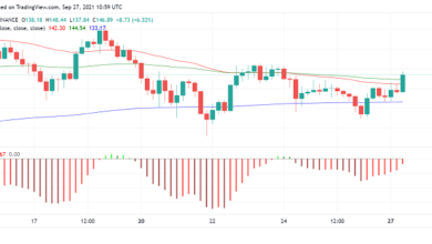 Solana (SOL) steigt immer noch, aber wird es bald Konkurrenz von anderen bekommen?