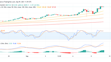 Solana (SOL) Surges to Become Sixth Largest Crypto by Market Cap