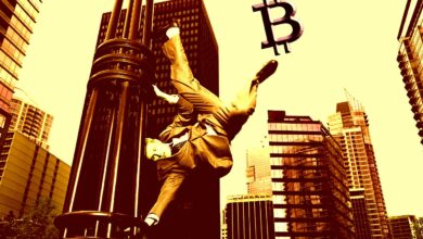 Twitter führt Bitcoin-Tipping-Funktion auf iOS ein, Android kommt als nächstes