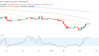 Umfrage von AMC zeigt starkes Interesse an Dogecoin (DOGE) als Zahlungsoption