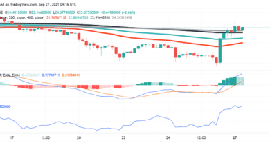 Uniswap (UNI) steigt nach Chinas jüngstem Vorgehen gegen Kryptos