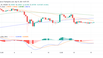 Verlieren Käufer nach Alonzo HFC das Interesse an Cardano (ADA)?