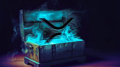 XRP hat ein großartiges Risiko-Ertrags-Verhältnis, mit einem 10-fachen Preisanstieg wahrscheinlich: Macro Guru Raoul Pal