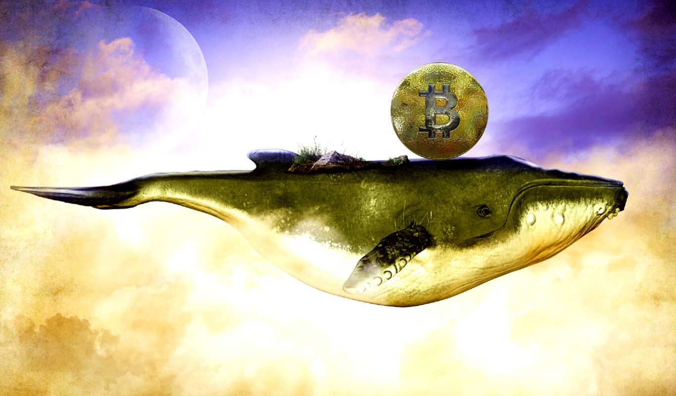 $ 1.500.000.000 Bitcoin-Wal-Transaktion schlägt Wellen, da riesige Krypto-Inhaber BTC lagern