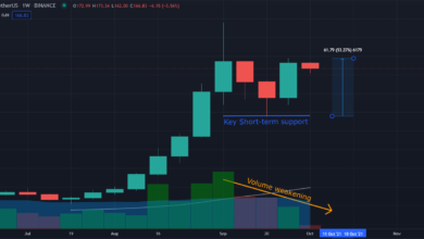 Solana (SOL) zeigt Stärke, da es in zwei Wochen 50+% zunimmt