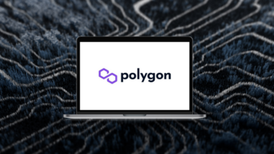 Polygon hat nach dem Testen des Supports höhere Levels im Blick
