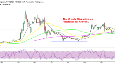 Wann wird es Zeit für Ripple Coin (XRP) soll auch höher springen?