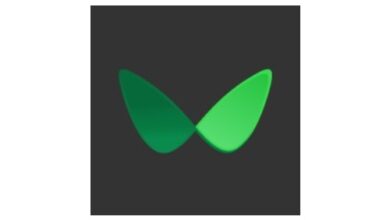 Visas estnischer Partner Wallester investiert in NFT