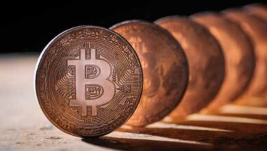 The Crypto Daily – Movers and Shakers – 8. Oktober 2021
