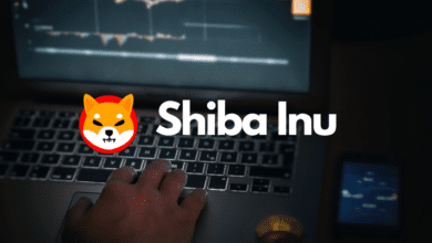 Was bringt Shiba Inu Coin dazu, den Aufwärtstrend nach dem Rückzug wieder aufzunehmen?