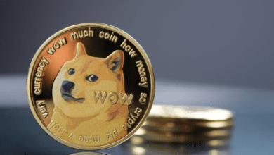 Dogecoin (DOGE/USD) könnte auf 0,20 zurückfallen, nachdem es nicht über 0,26 gebrochen wurde