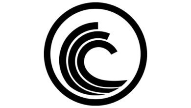 BitTorrent gibt die ersten drei Gewinner bekannt, die den Hauptpreis von bis zu 10 Millionen BTT anführen