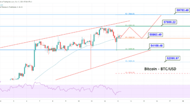 Bitcoin Price Analysis