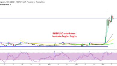 Shiba Inu Coin und Fantom Crypto halten ihre Gewinne nach dem Anstieg fest
