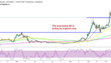Polygon, Fantom Crypto-Preisvorhersage – MATIC springt um 30%, FTM-Unterstützung in Gefahr