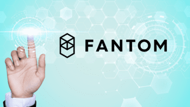 Sind die Käufer von Fantom (FTM/USD) erschöpft? Sehen Sie sich diese Schlüsselstufen an