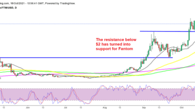 Fantom (FTM) Crypto nimmt das bullische Momentum wieder auf, Cardano (ADA)-Preis bereit für einen Ausbruch