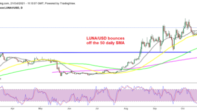 Terra (Luna) steuert auf Allzeithochs zu, Cardano (ADA) auf der Suche nach einem bullischen Ausbruch