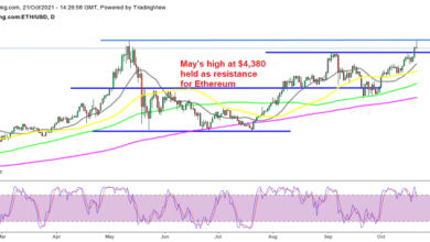 Ethereum (ETH) zieht sich von Allzeithochs zurück, Litecoin (LTC) zieht sich auf 200 $ zurück