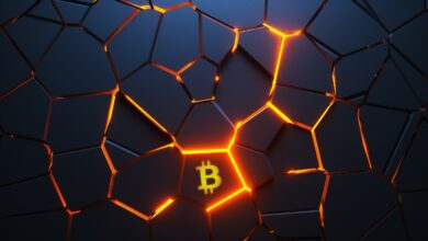 $6.000.000.000 Hedgefonds-Chef weist auf Bitcoin-Bestände hin, sagt Bitcoin offiziell zum Mainstream