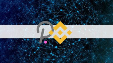 Binance wird die bevorstehende Parachain-Auktion von Polkadot im November unterstützen