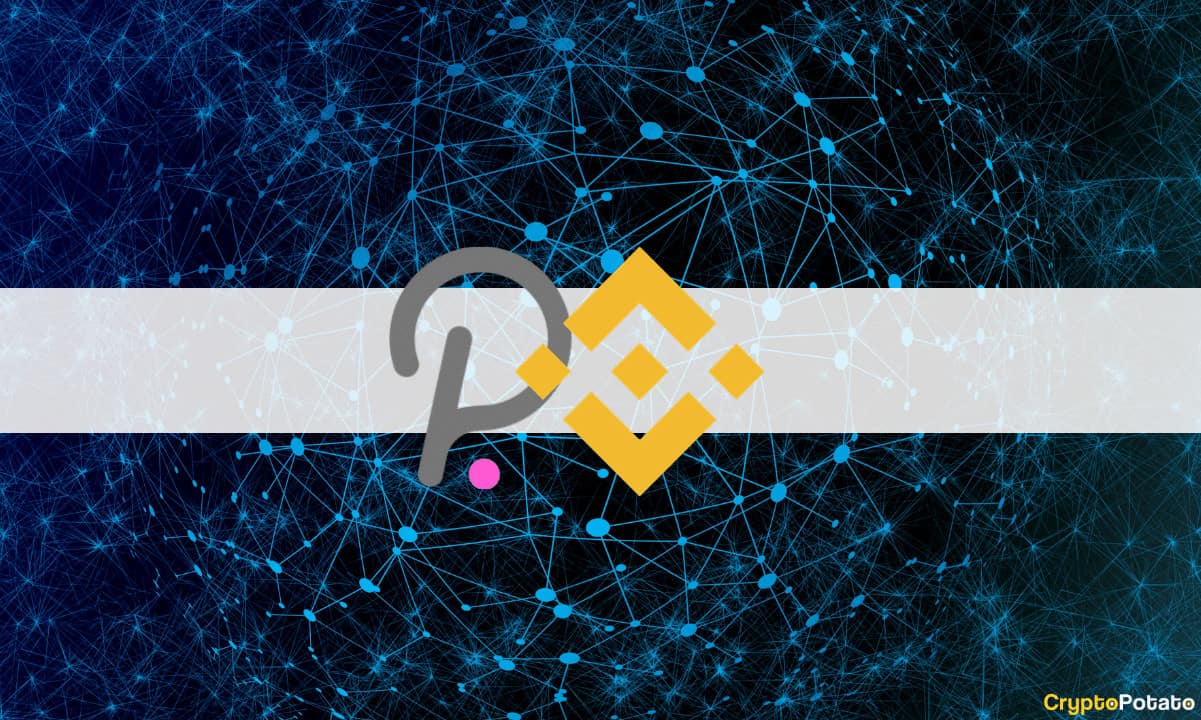 Binance wird die bevorstehende Parachain-Auktion von Polkadot im November unterstützen