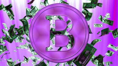 BitMEX-CEO prognostiziert, dass fünf Entwicklungsländer Bitcoin im nächsten Jahr als gesetzliches Zahlungsmittel akzeptieren werden – hier ist der Grund