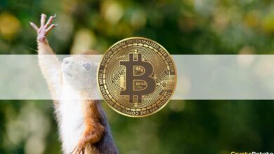 Bitcoin auf 10-Tage-Hoch nach Powell und trotz China FUD: Die wöchentliche Zusammenfassung