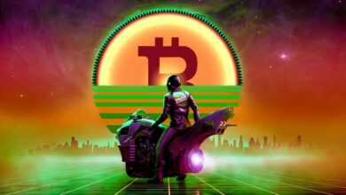 Bitcoin muss dieses entscheidende Niveau halten, um den Bull Run aufrechtzuerhalten, so der CEO von Valkyrie Investments