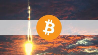 Bitcoin stößt auf 48.000 US-Dollar, da die Krypto-Marktkapitalisierung an einem Tag um 170 Milliarden US-Dollar gestiegen ist