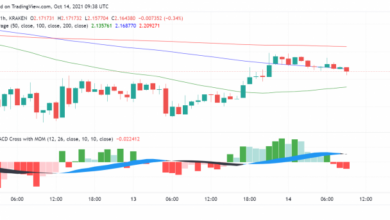 Cardano (ADA) trotz steigender Akzeptanz bei DeFi-Projekten schwach