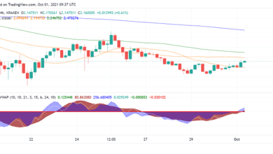 Cardano (ADA) versucht, seine jüngsten Verluste wieder gutzumachen?