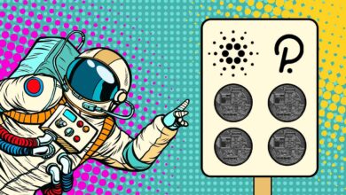 Cardano, Polkadot und vier weitere Altcoins werden laut Crypto Trader Austin Arnold im Jahr 2022 explodieren