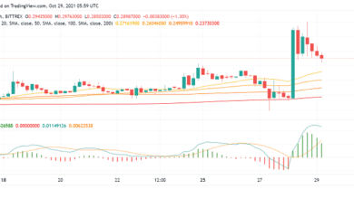 DOGE to The Moon: Kann Dogecoin einen starken Bullenlauf aufrechterhalten?