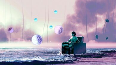 Der Altcoin-Anstieg könnte trotz Bitcoin-Stärke gleich um die Ecke sein: Krypto-Analyst Nicholas Merten