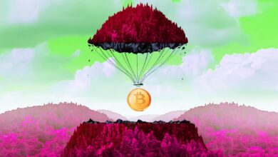 Der Aufstieg von Bitcoin bedroht den USD nicht, so der Direktor von Fidelity Investments