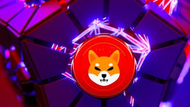 Der beste Handel aller Zeiten? Krypto-Investor hat vor 400 Tagen 8.000 US-Dollar in Shiba Inu investiert – so viel ist es jetzt wert
