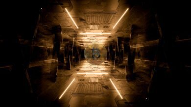 Die Aussichten zum Jahresende von Bitcoin sehen sehr optimistisch ausChain Analyst Will Clemente – hier ist der Grund