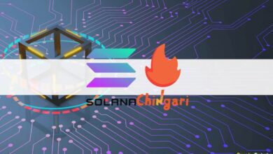 Die führende indische Kurzvideo-App Chingari sammelt 19 Millionen US-Dollar ein, um ihr Solana-basiertes Token zu vervollständigen
